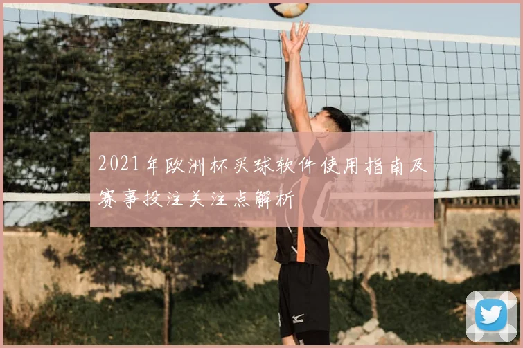 2021年欧洲杯买球软件使用指南及赛事投注关注点解析