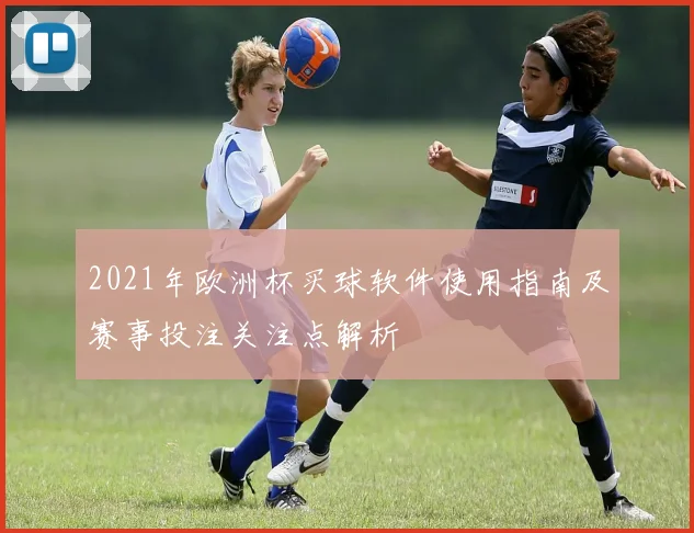 2021年欧洲杯买球软件使用指南及赛事投注关注点解析