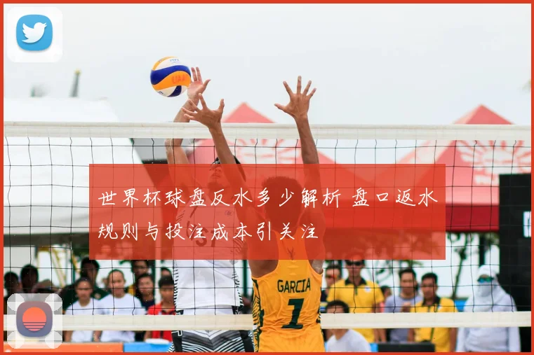 世界杯球盘反水多少解析 盘口返水规则与投注成本引关注