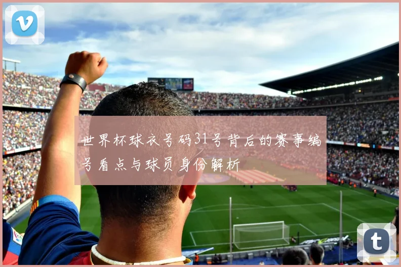 世界杯球衣号码31号背后的赛事编号看点与球员身份解析