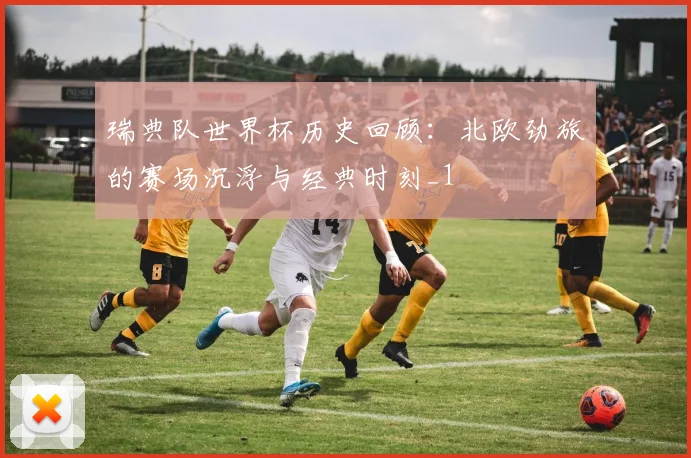 瑞典队世界杯历史回顾：北欧劲旅的赛场沉浮与经典时刻_1