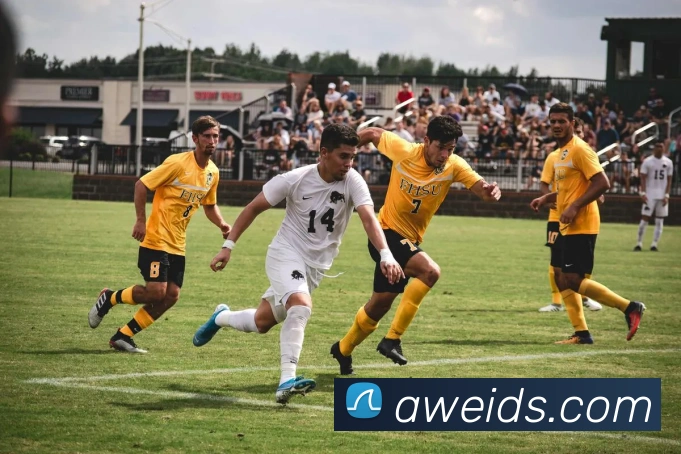 开云官方网站app下载入口APP 封面图